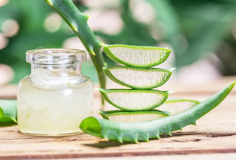 Health Benefits of Aloe Vera-main